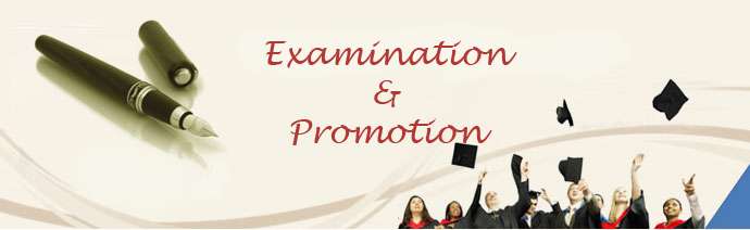 Examinations & Promotions