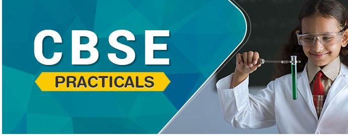 Class XII BOARD PRACTICALS Scheduled from 8th January, 2025